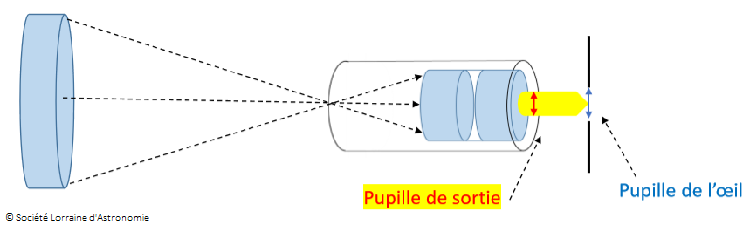 Pupille de sortie.